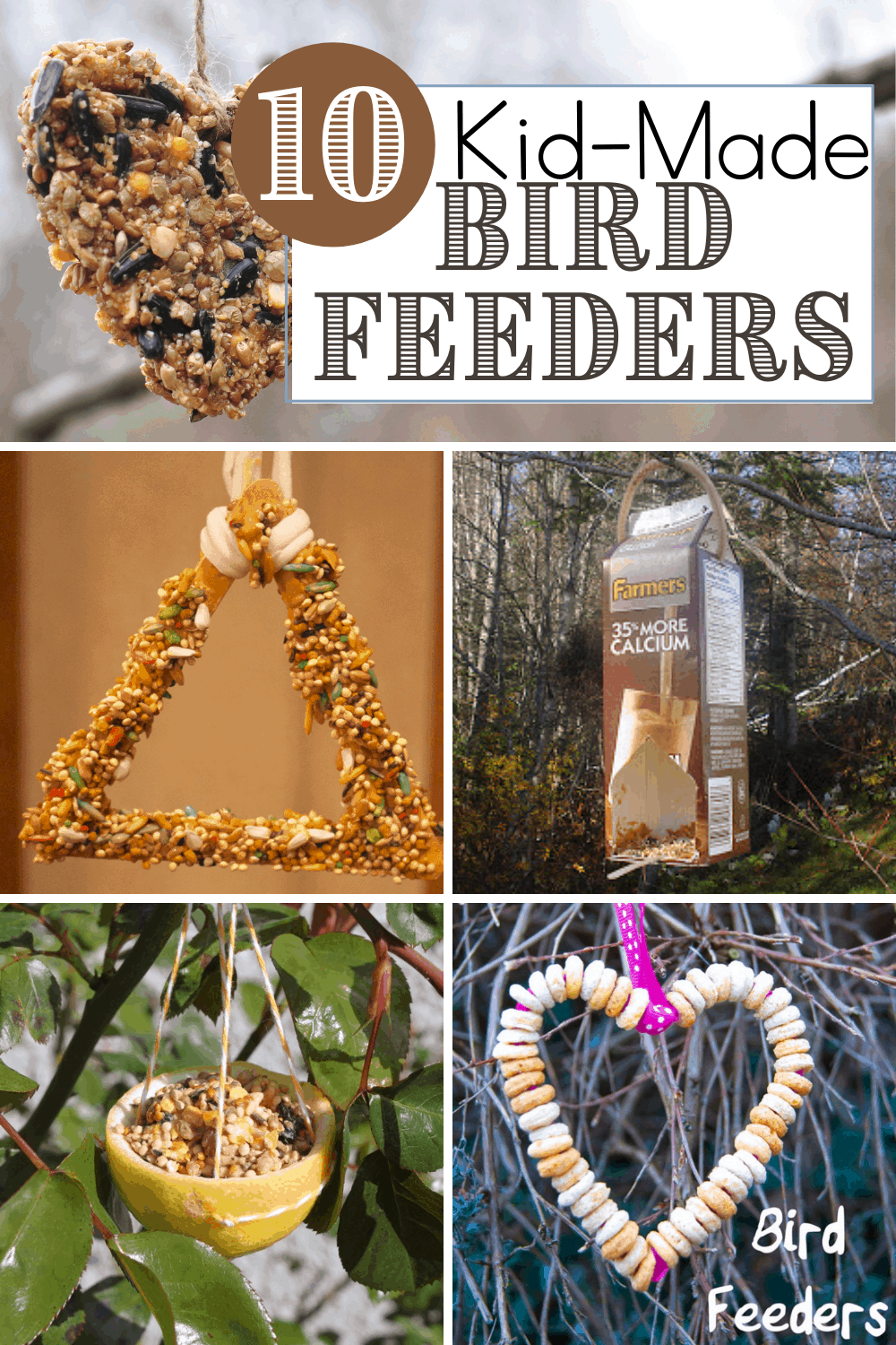 Simple Bird Feeders for Preschoolers