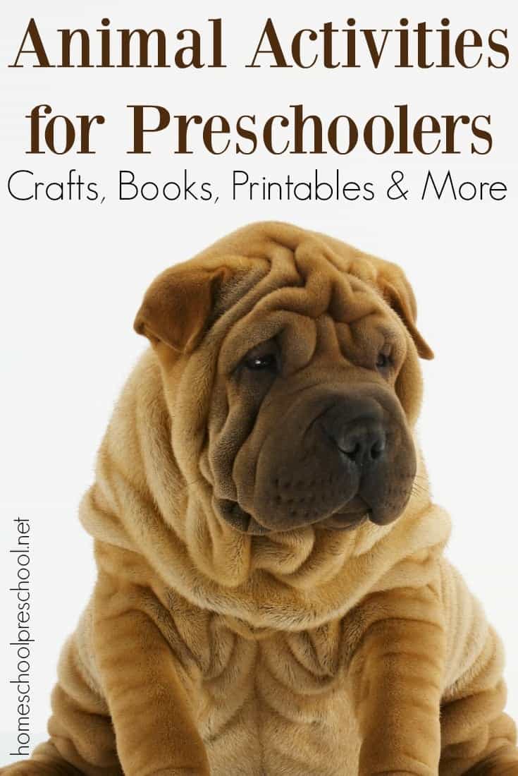 What an amazing collection of animal activities for preschool aged kids! It contains crafts, printables, books, and more! | @homeschlprek