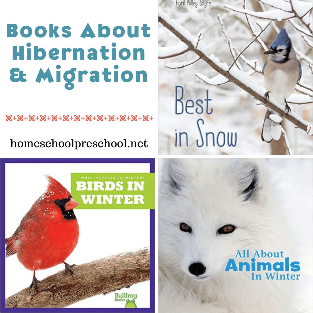 Winter is a great time to add books about hibernation and migration to your reading time. Here's a great list of picture books to get you started!