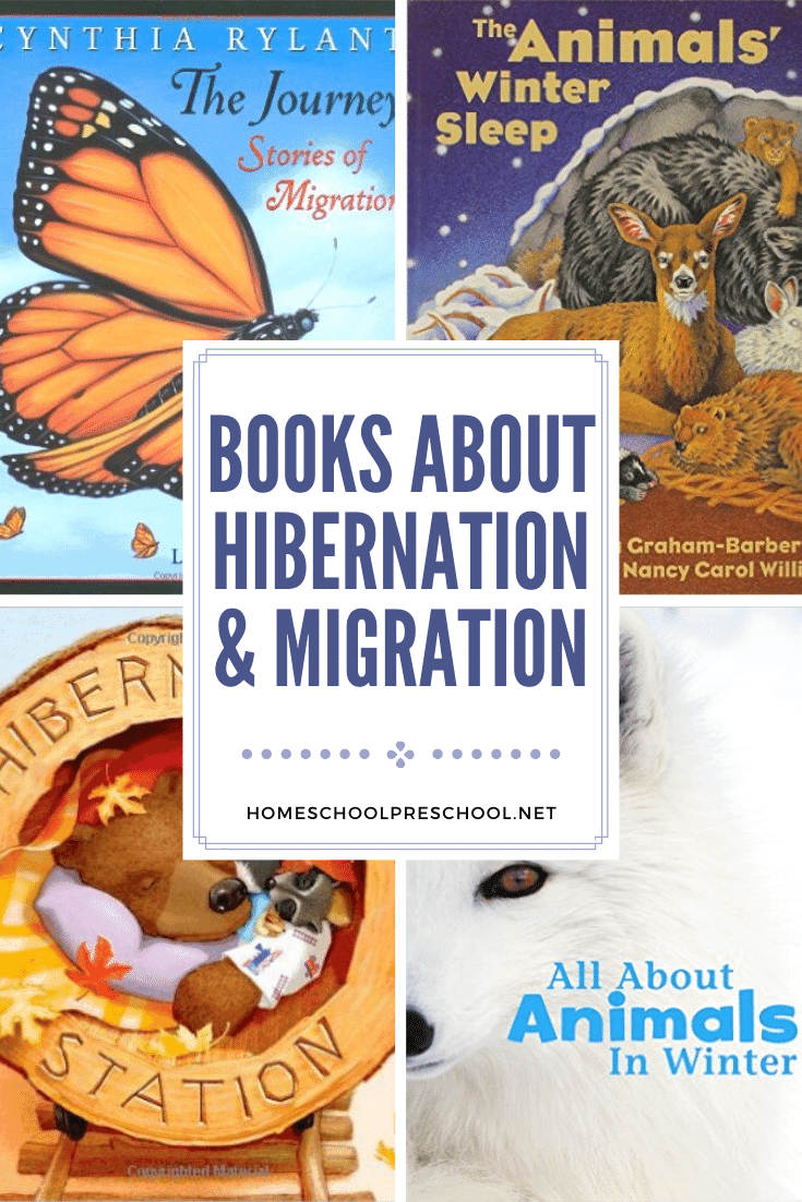 Winter is a great time to add books about hibernation and migration to your reading time. Here's a great list of picture books to get you started!