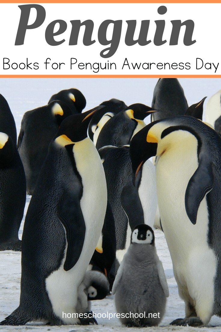 Preschoolers love penguins! Here are five amazing penguin books to read as you celebrate Penguin Awareness Day on January 20!