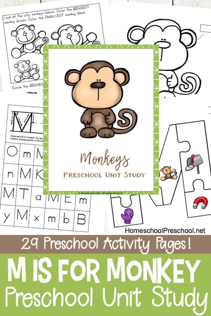 Are you focusing on the letter M or studying monkeys and zoo animals with your preschoolers? This set of M is for Monkey printables make a great addition to your lesson plans.
