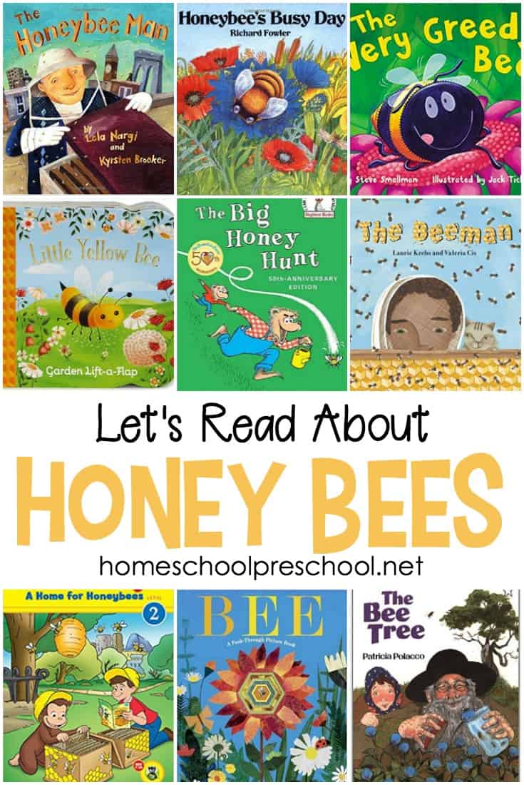 Spring has sprung! Celebrate spring with a basket full of picture books about bees! Here are 15 of our favorites to get you started.