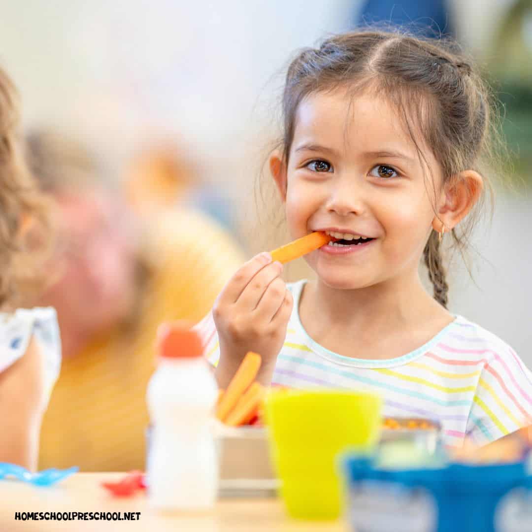 Preschool Lunch Ideas