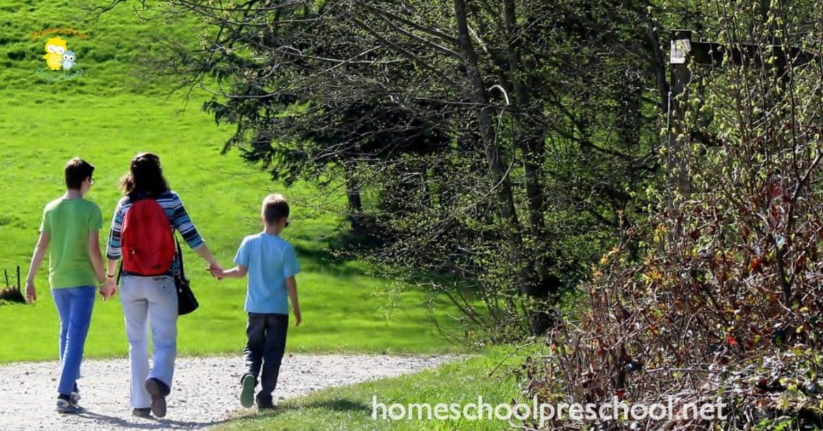 Summer is almost here! It's the perfect time to enjoy nature hikes with your preschoolers. Discover five tips to make them more enjoyable! 