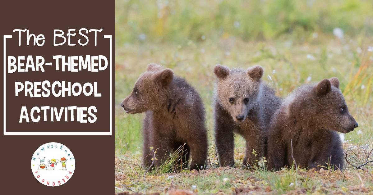 What an amazing collection of bear activities for kids! It contains crafts, printables, books, and more! You’ll find everything you need to keep your kids engaged and learning all about bears!