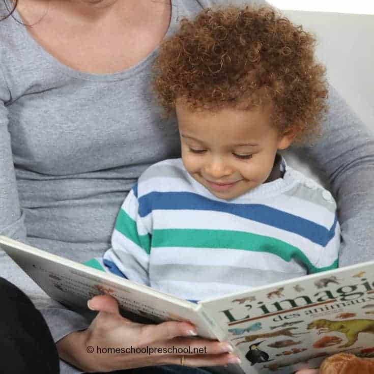 Some of my fondest memories as a mom center around reading with my children. Let's explore 101 reasons to read to your preschoolers!