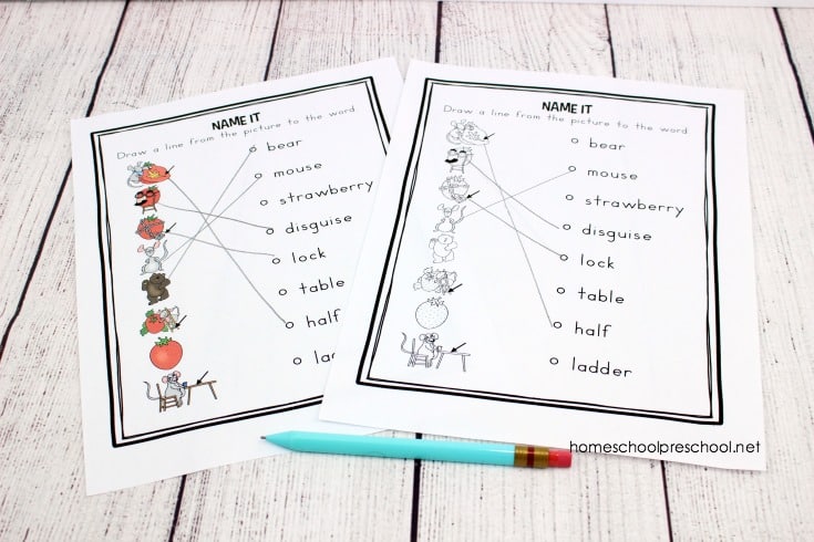 Discover fun and engaging printable The Little Mouse, the Red Ripe Strawberry, and the Big Hungry Bear activities that are perfect for tots and preschoolers.