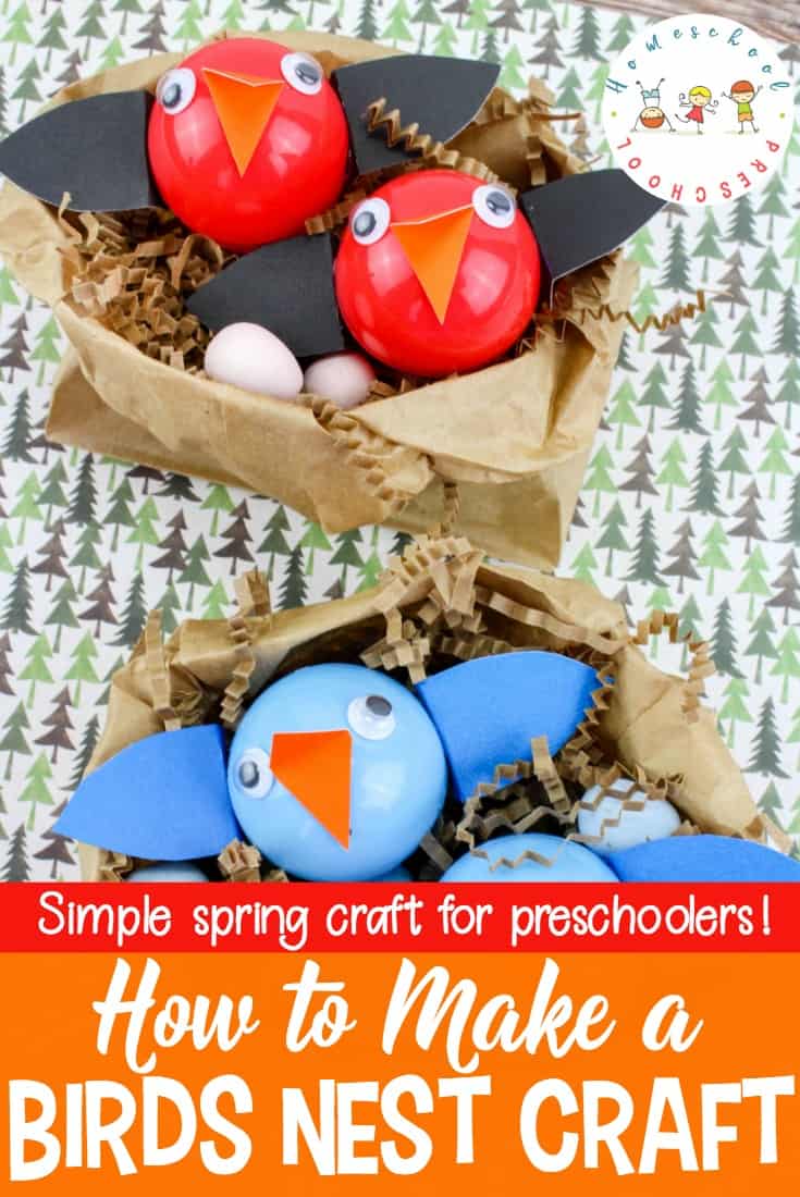 Children of all ages will enjoy making this adorable baby birds nest craft! It's a great addition to your spring lessons or your bird unit study.