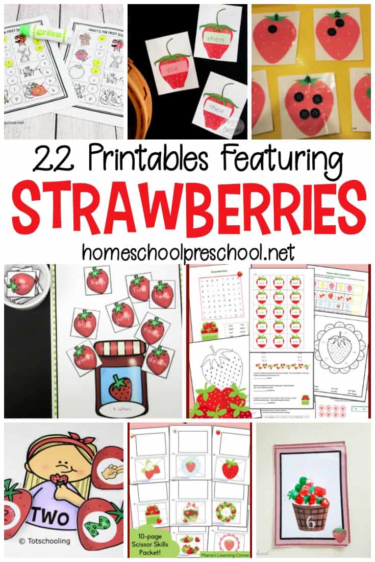 Summer is strawberry season! It's also the perfect time to add some strawberry printable worksheets and activities to your homeschool lessons.
