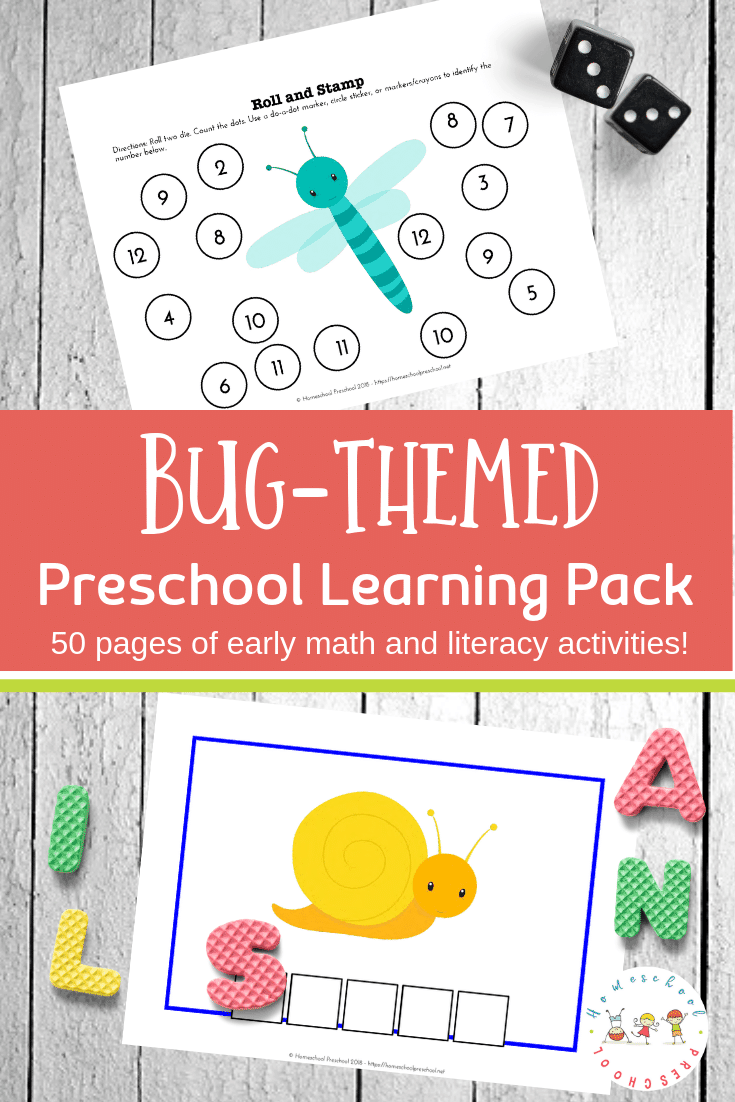Preschoolers will work on early math and literacy skills with this pack of preschool insect theme printables. 50 pages of learning fun!