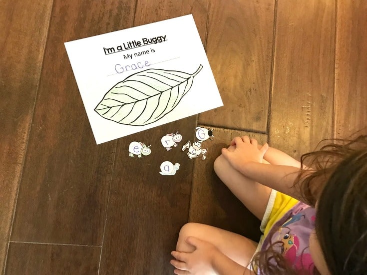 The more name recognition activities you can do with your preschoolers the better. This insect-themed name recognition activity is perfect for spring and summer!