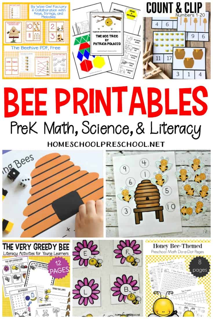 Explore this wonderful collection of free preschool bee themed printables that focus on math, science, and literacy. There's even a fun craft template for your little ones. 