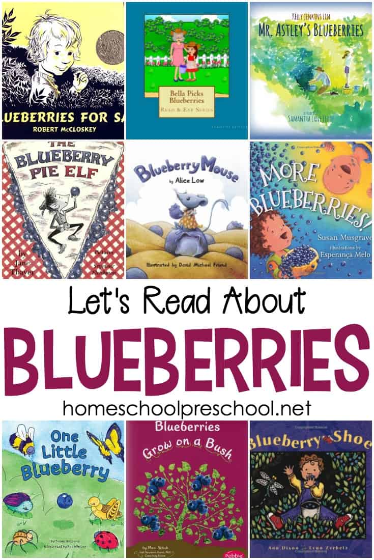 9 Best Blueberry Picture Books for Your Book Basket