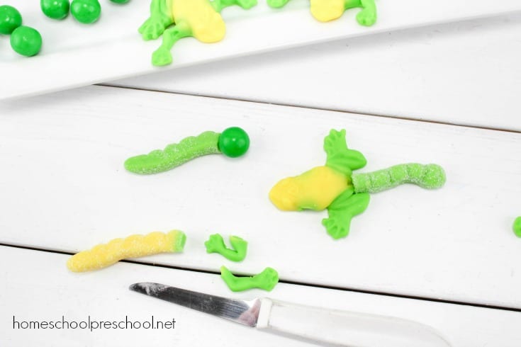 Follow this simple tutorial to make a frog life cycle candy science craft! Bring science to life with this fun, educational activity.