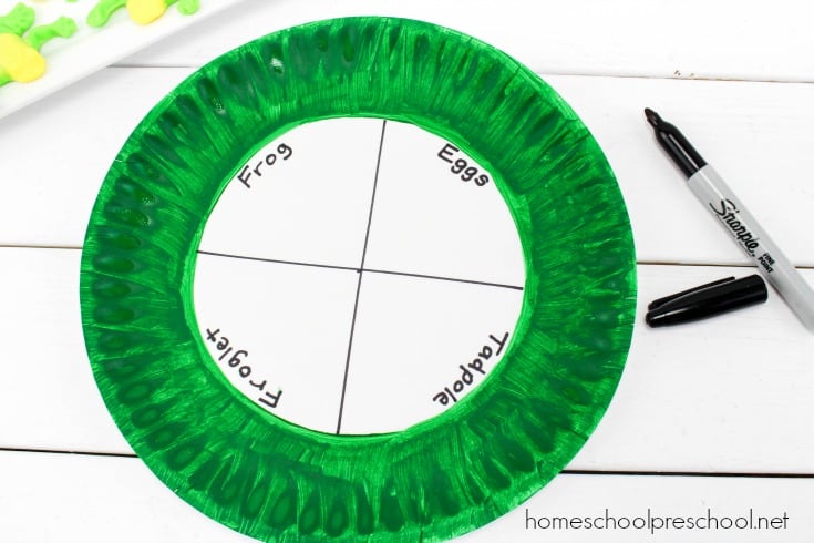 Follow this simple tutorial to make a frog life cycle candy science craft! Bring science to life with this fun, educational activity.