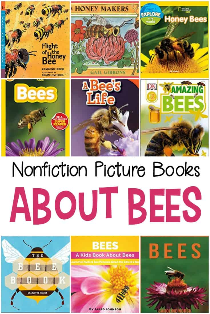 Preschoolers are sponges ready to soak up new things all the time. So, teach them about bees with these nonfiction picture books about bees.