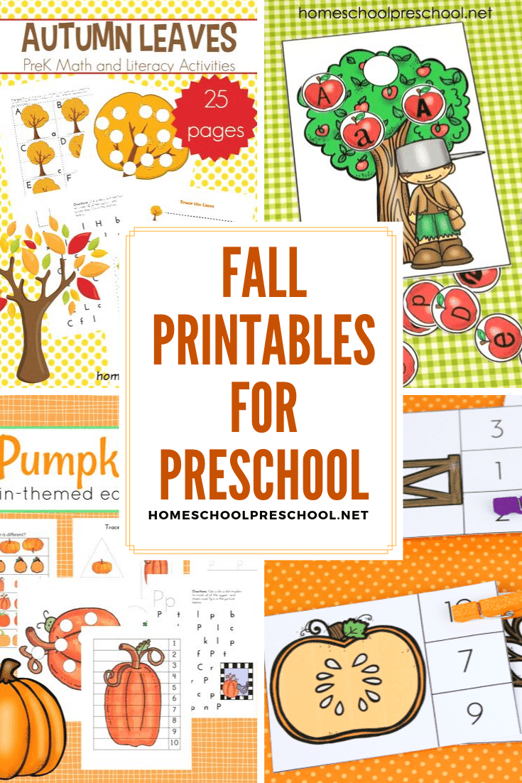 No matter what autumn themes you're planning for your preschoolers, these fall printables for preschool will help you round out your units!