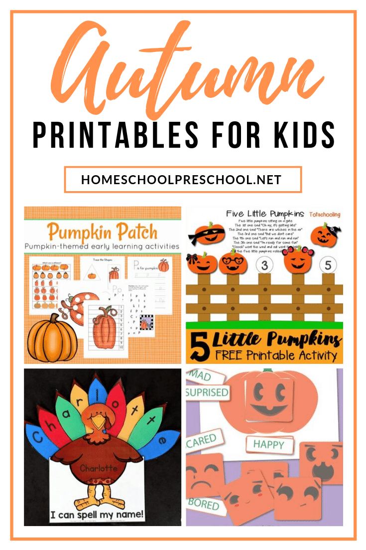No matter what autumn themes you're planning for your preschoolers, these fall printables for preschool will help you round out your units!