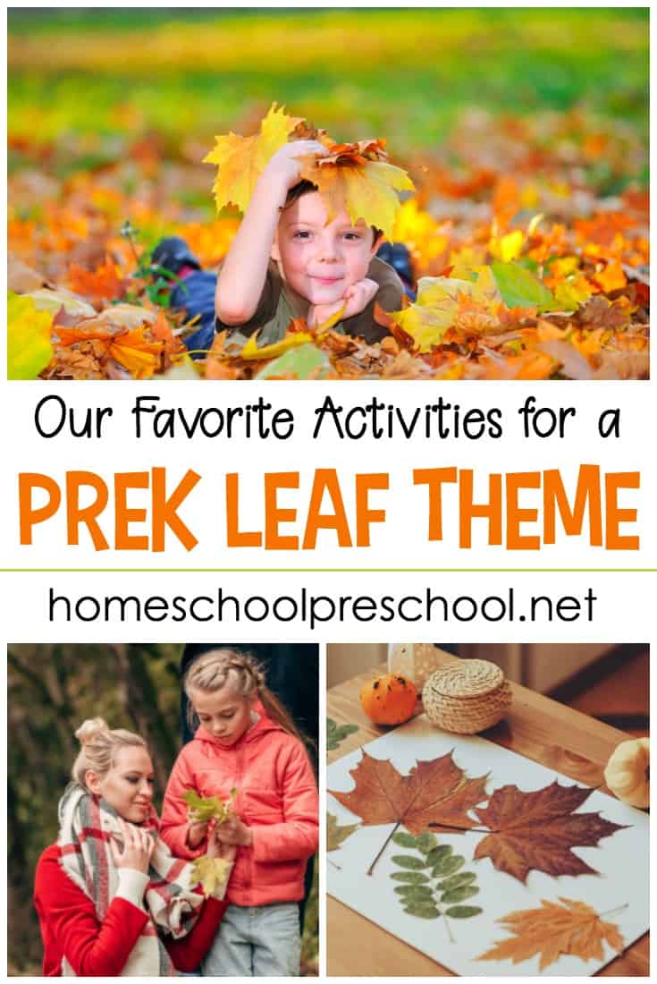 Fun leaf themed activities, resources, book lists, and printables to round-out your preschool leaf theme. Add these to your fall preschool themes.