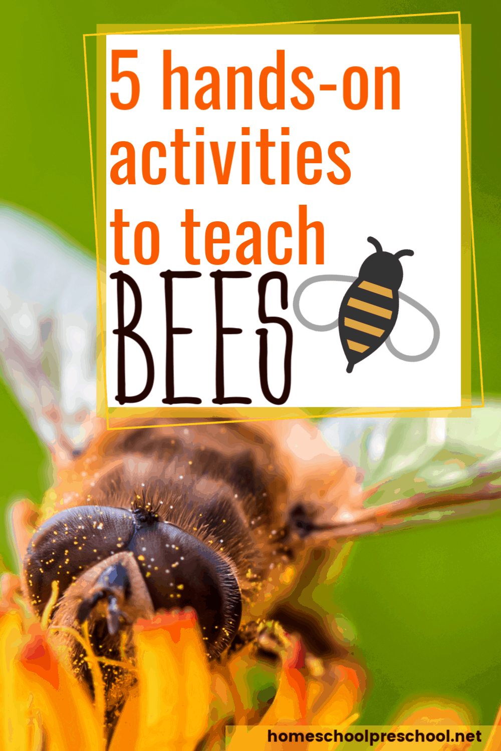 Hands-On Bee Activities