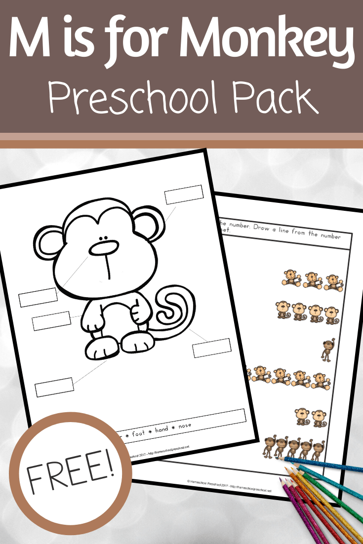Focusing on the letter M or studying monkeys and zoo animals? This pack of free printable preschool monkey activities makes a great addition to your theme.