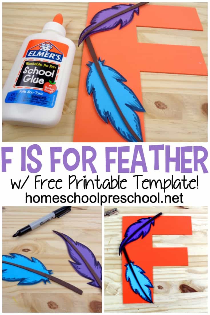 This Letter F Feather Craft works great within your bird unit and in your Letter F (Letter of the Week) preschool activities!