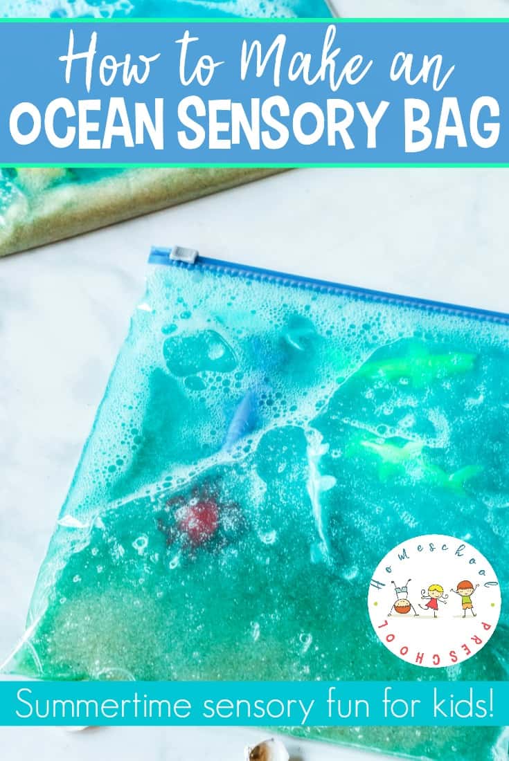Make an ocean sensory bag for your toddlers and preschoolers to explore. It's a great activity for summer fun before or after a tip to the beach!