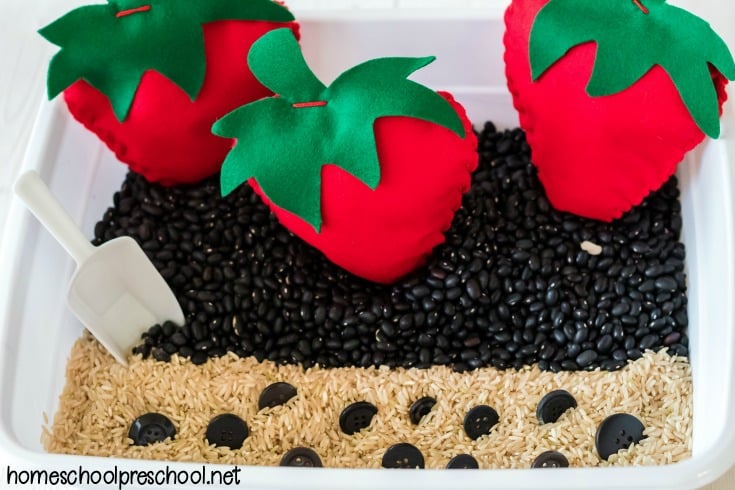 For your preschool strawberry theme create a strawberry math sensory bin. Work on number recognition, counting, and one-to-one correspondence.