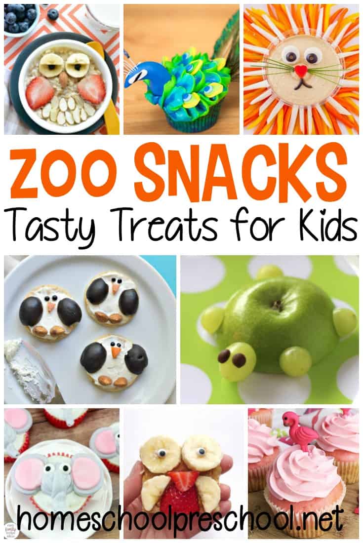 Whether you're gearing up for a trip to the zoo or just looking for something fun to do, whip up one of these zoo snacks for preschoolers for a fun treat!