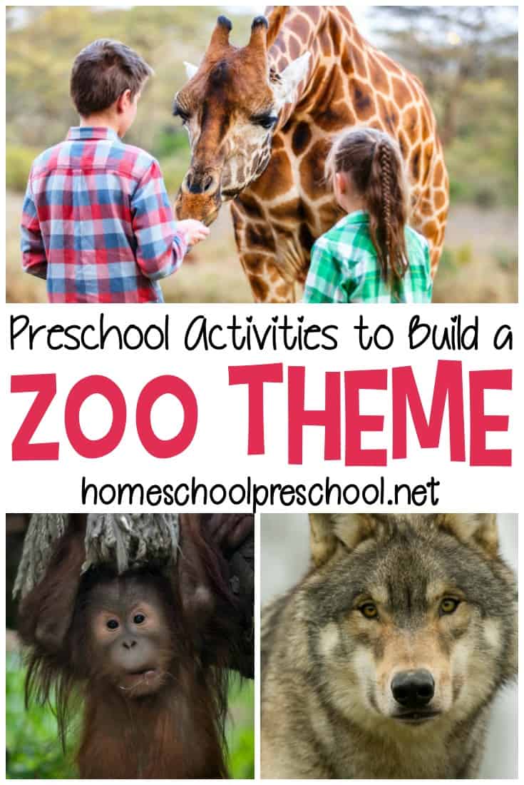 Your kids will be roaring over these preschool zoo theme activities! From books and printables to crafts and hands-on fun, don't miss these awesome ideas!