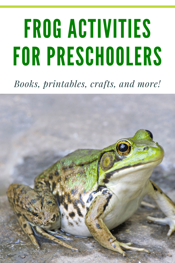 Fabulous frog activities for preschool! Find crafts, printables, book lists, and more. Hop on over to discover them all!