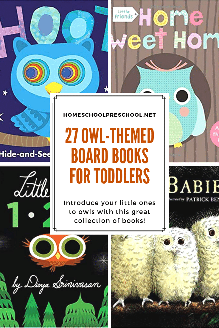 This fall, introduce your toddlers to owls with these owl board books for toddlers. The sturdy pages make these books perfect for little hands. 
