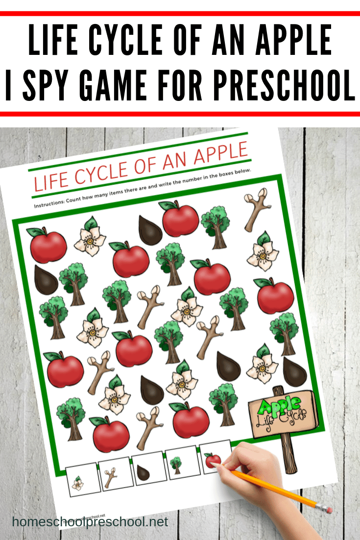 While studying apples with your preschoolers this fall, let them practice counting within ten with this Life Cycle of an Apple I Spy Game.