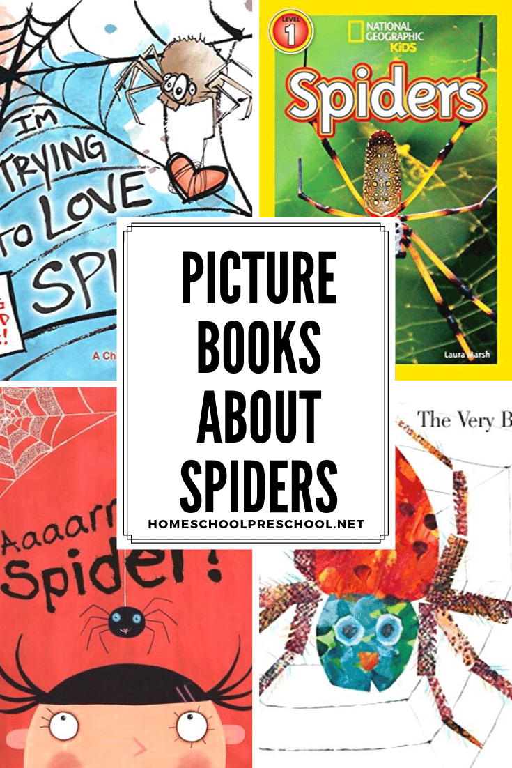 If you're studying spiders or looking for some fun books to read this Halloween, try these spider books for preschoolers. They're great for young readers. 