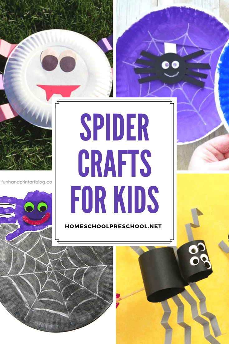 Spider Crafts for Preschoolers