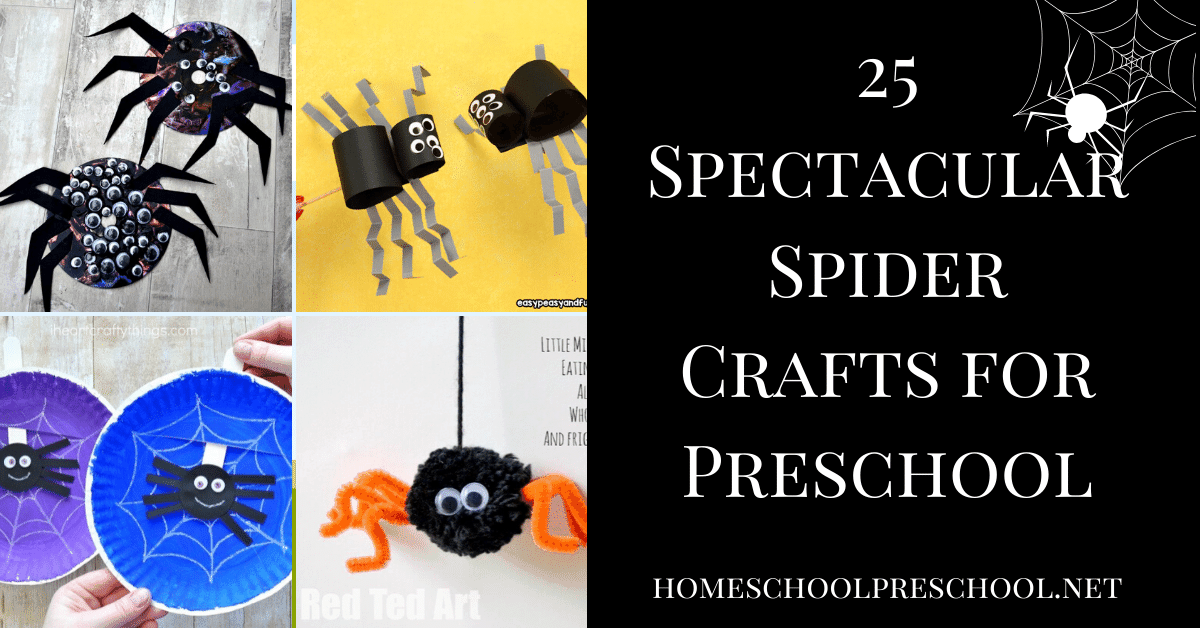 Whether you're studying spiders in your preschool or you're looking for a Halloween craft, don't miss these creative spider crafts for preschoolers! 