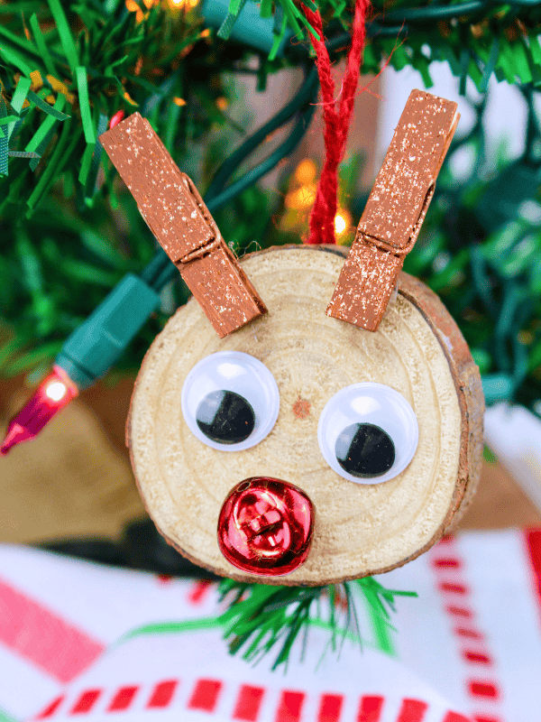 DIY Rudolph Ornaments