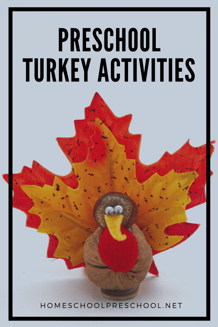 Terrific preschool turkey activities! Find crafts, printables, book lists, and more. Strut on over to discover them all!