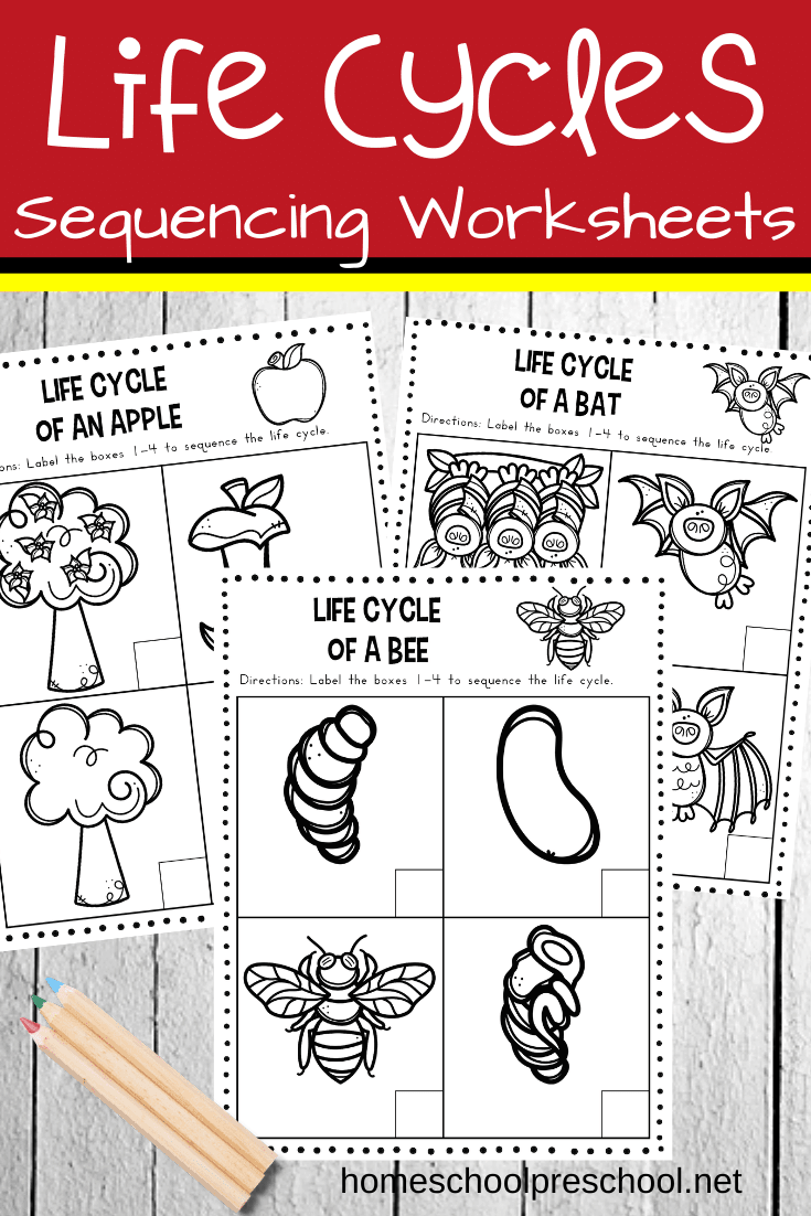 Young kids can practice putting things in order with this pack of life cycle sequencing worksheets. This pack focuses on the life cycle of six living things.