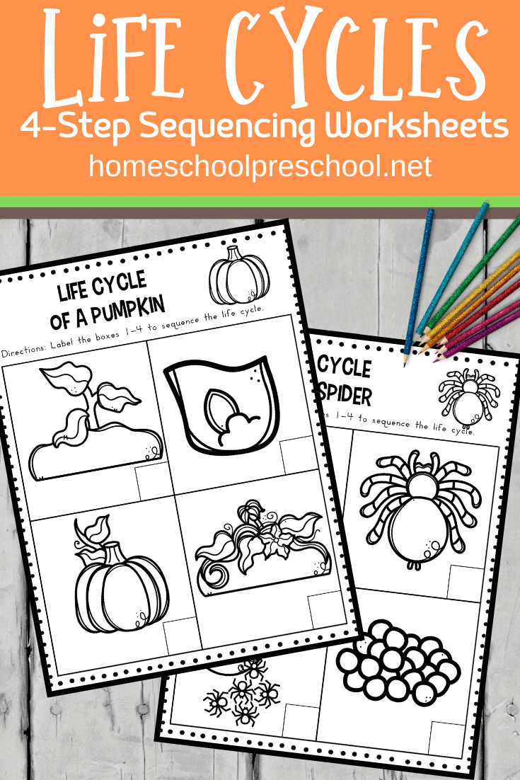 Young kids can practice putting things in order with this pack of life cycle sequencing worksheets. This pack focuses on the life cycle of six living things.
