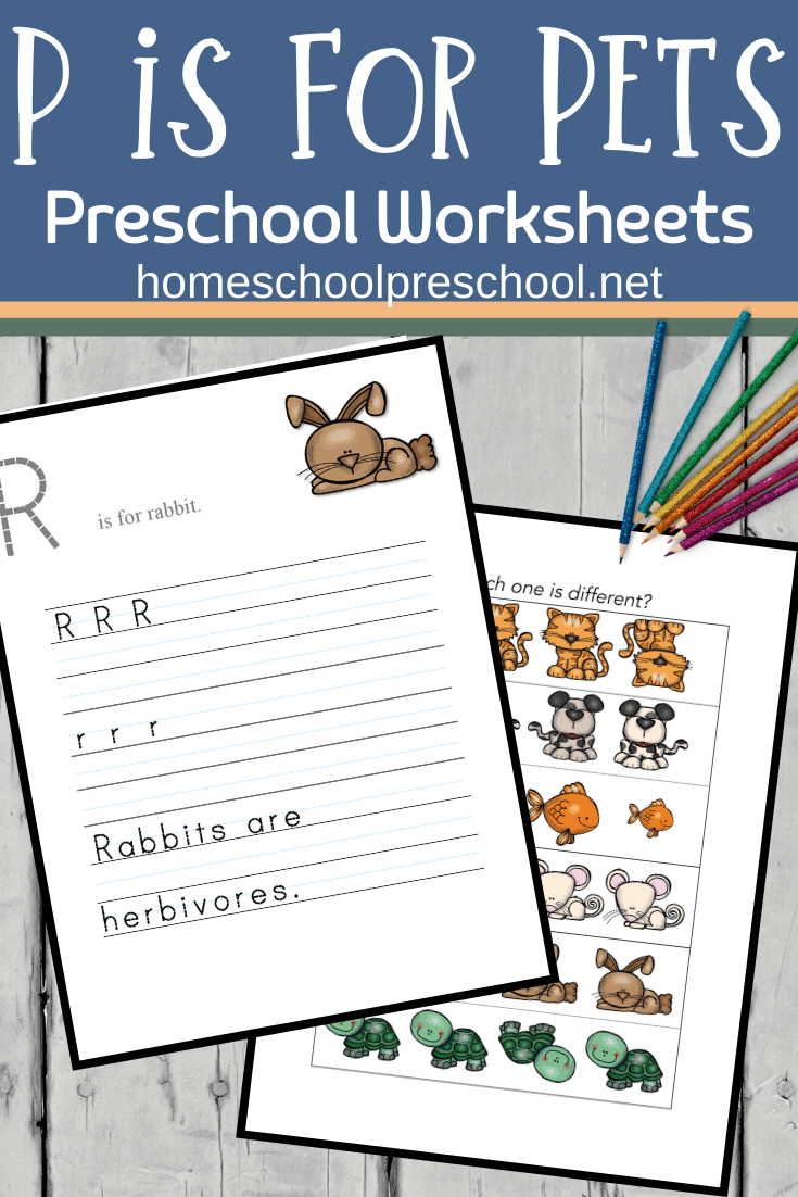 Looking for a new printable pack to use with your preschoolers? Don't miss these pet activities for preschool! Fun math and literacy activities. 