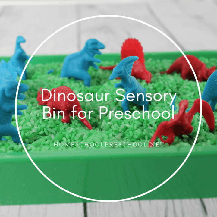 Dinosaur sensory play is perfect for dino lovers of all ages! This sensory bin is super simple to put together!