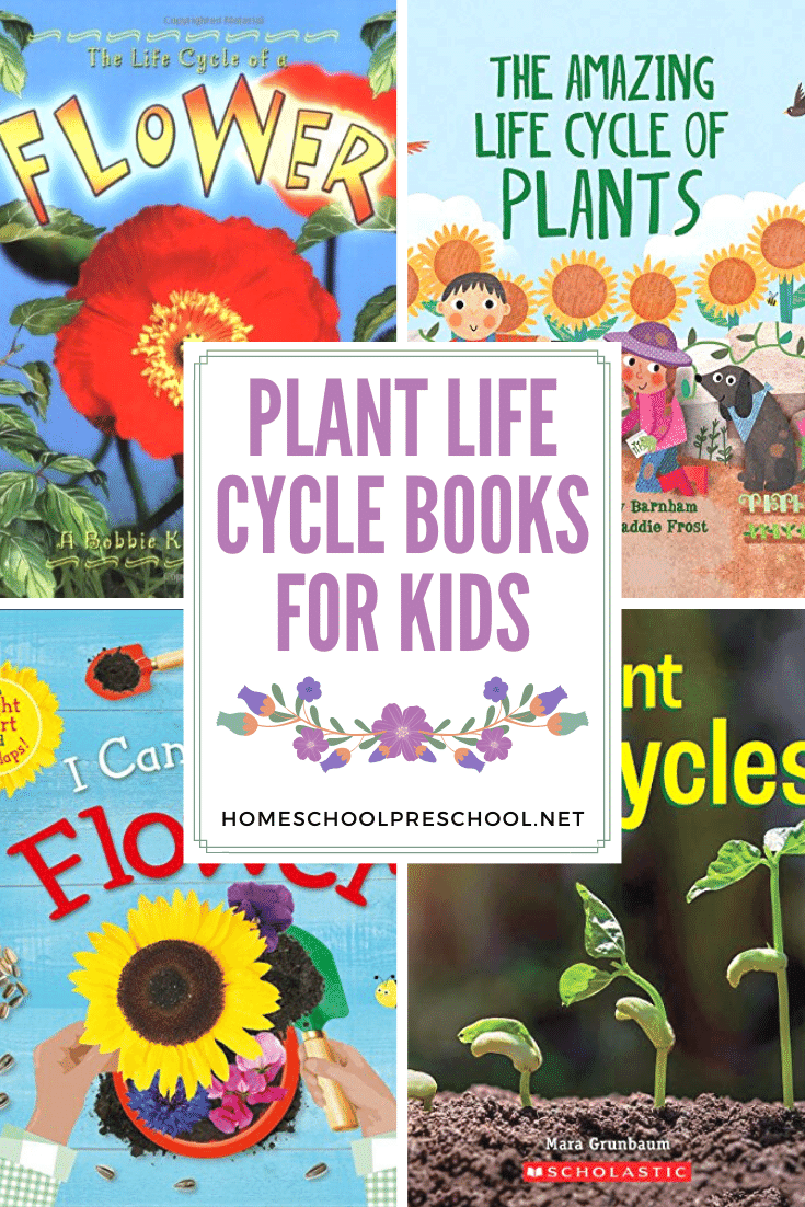 No matter what growing season you're in, these plant life cycle books for kids are a great way to teach kids how plants grow from seed to adult. 