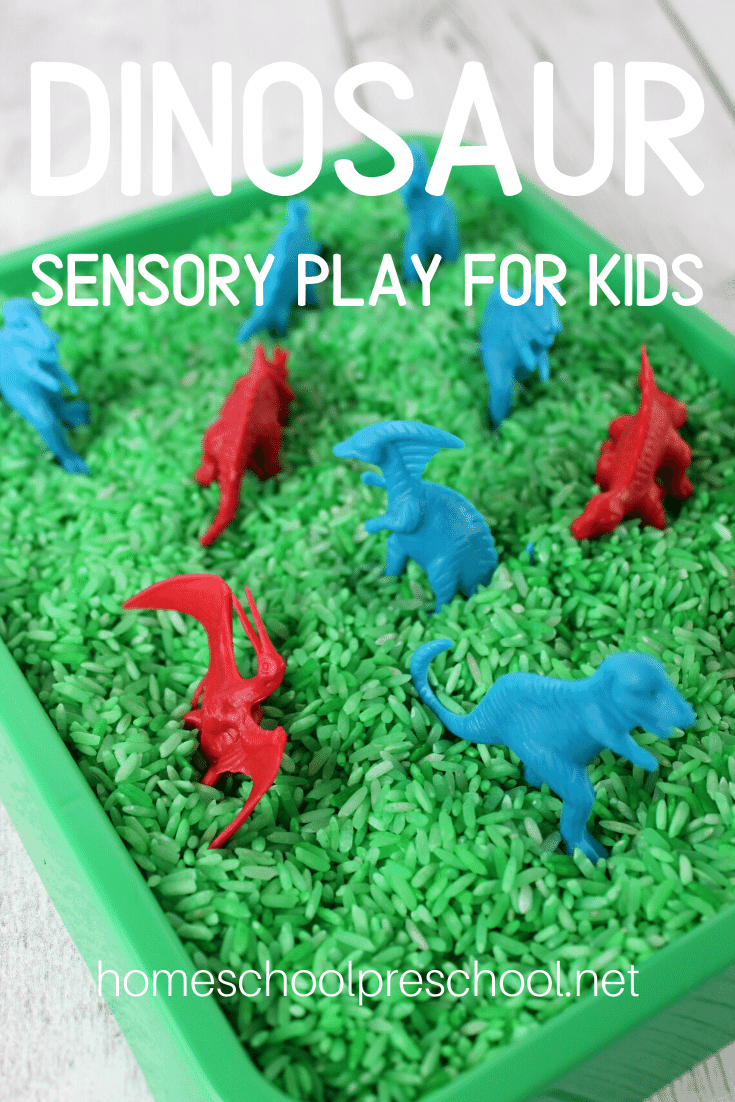 Dinosaur sensory play is perfect for dino lovers of all ages! This sensory bin is super simple to put together!