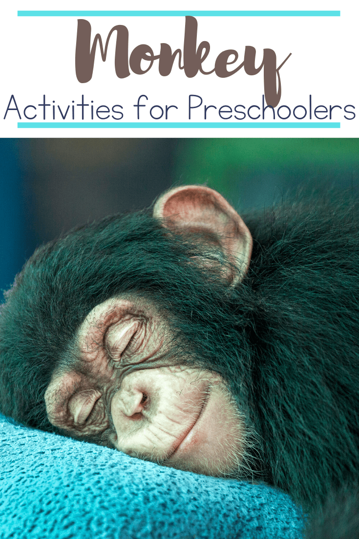 These monkey activities for preschool are perfect for your lessons focused on animals in general, the jungle, the zoo, or Letter of the Week Mm activities.