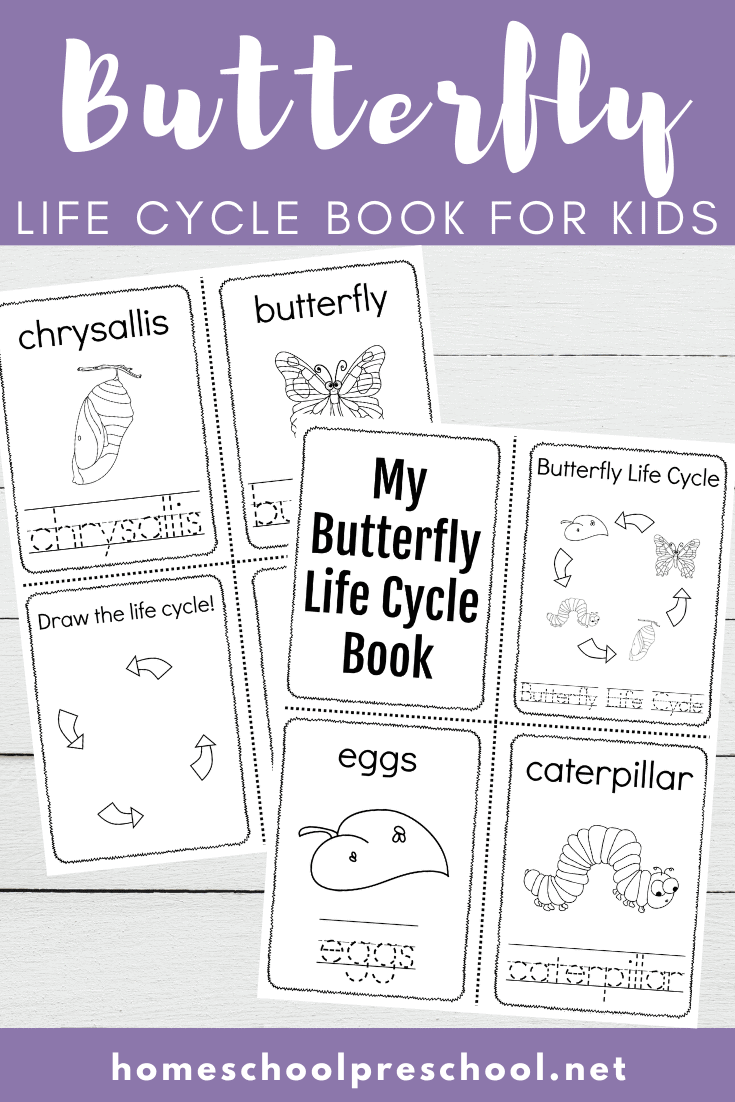 Here's a simple butterfly life cycle printable book for preschoolers. Teach them the four stages of a butterfly's life this spring.&nbsp;