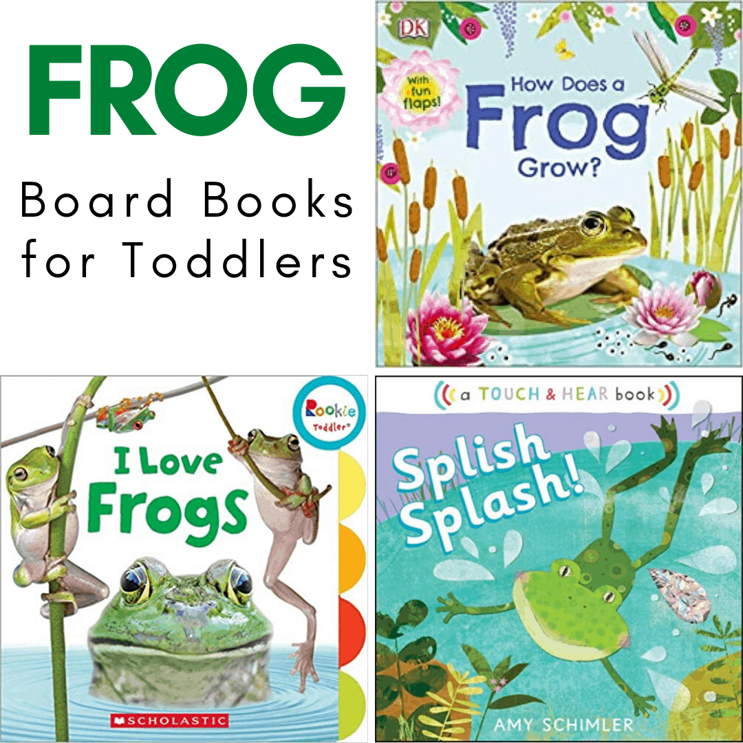 This spring, introduce your little ones to frogs with this collection of fiction and nonfiction frog books for toddlers. These board books are the best!