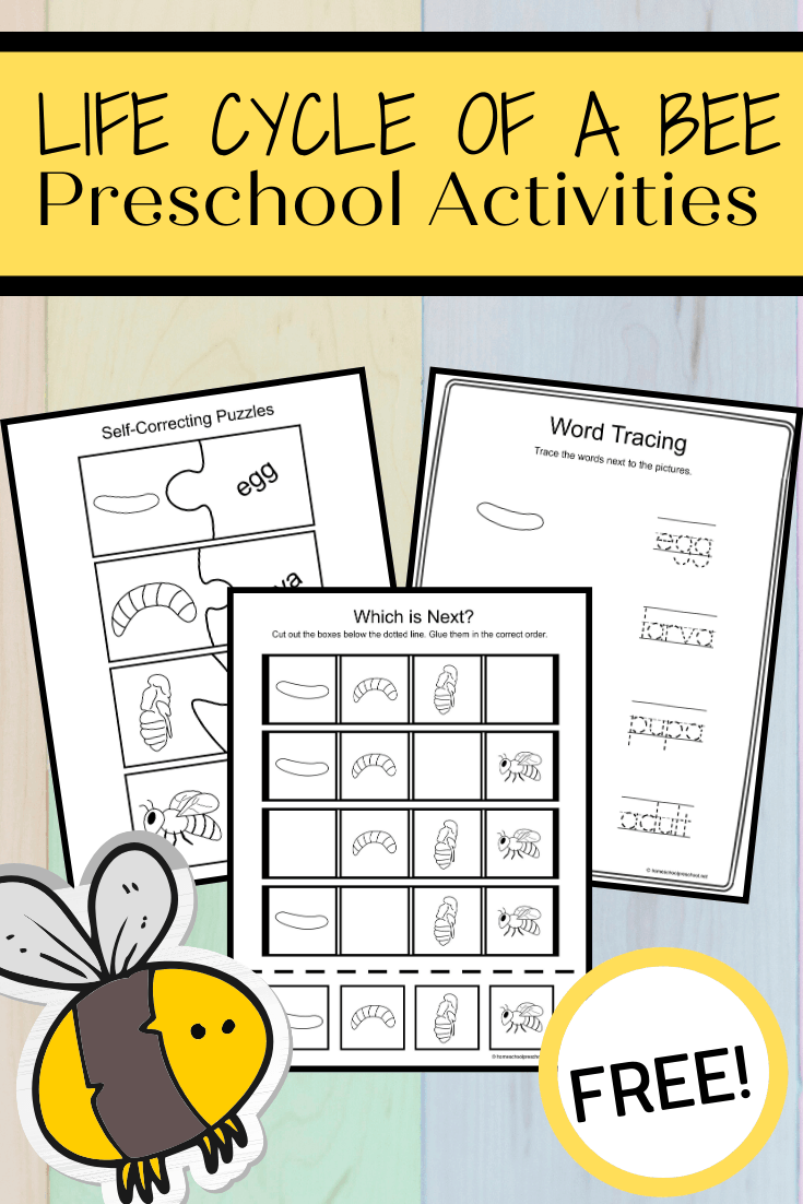 Use these activity pages to teach the life cycle of a bee for kids. This set includes four activity pages that highlight all four stages of a bee's life.