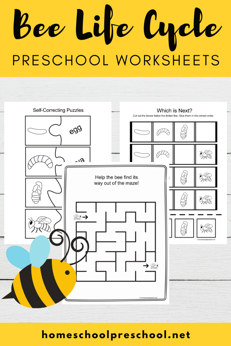 Use these activity pages to teach the life cycle of a bee for kids. This set includes four activity pages that highlight all four stages of a bee's life. 